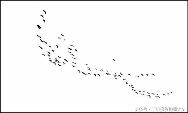 1523861159565351.jpg